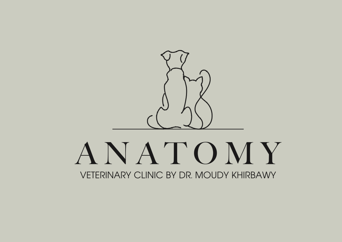 מוצרי הדברה לחתולים